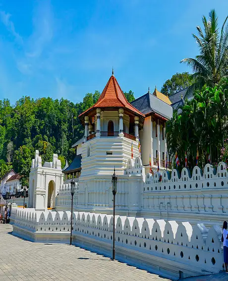 Kandy Day Tour